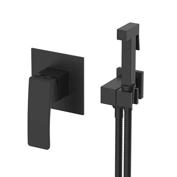 Гигиенический душ со смесителем Raglo R01.53.06 скрытый монтаж черный матовый