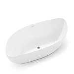 Акриловая ванна Black & White Swan SB222 180х90 Акриловая ванна Black & White Swan SB222 180х90