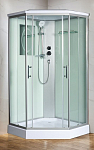Душевая кабина WeltWasser WW500 Premium Nesse 1002 100х100х217 Душевая кабина WeltWasser WW500 Premium Nesse 1002 100х100х217