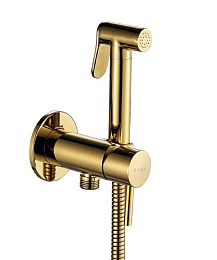 Гигиенический душ со смесителем ALMAes Benito AL-859-08 скрытый монтаж глянцевое золото