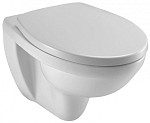 Подвесной унитаз Jacob Delafon Patio EDV102-00 36*53 безободковый Подвесной унитаз Jacob Delafon Patio EDV102-00 36*53 безободковый