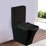 Унитаз-компакт Esbano Crisan 35*62,5 Matt Black безободковый с крышкой-сиденьем микролифт Унитаз-компакт Esbano Crisan 35*62,5 Matt Black безободковый с крышкой-сиденьем микролифт