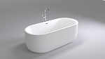 Акриловая ванна Black & White Swan SB109 170х80 Акриловая ванна Black & White Swan SB109 170х80